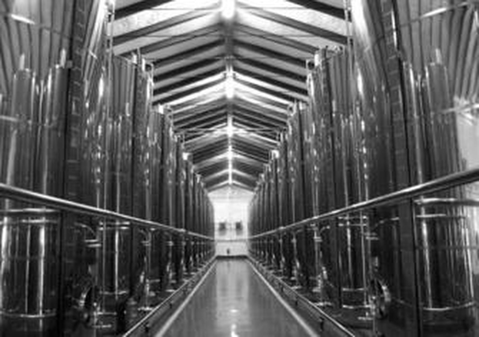 Detalle del interior de las instalaciones pozoalbenses de la Cooperativa Olivarera Los Pedroches (Olipe).