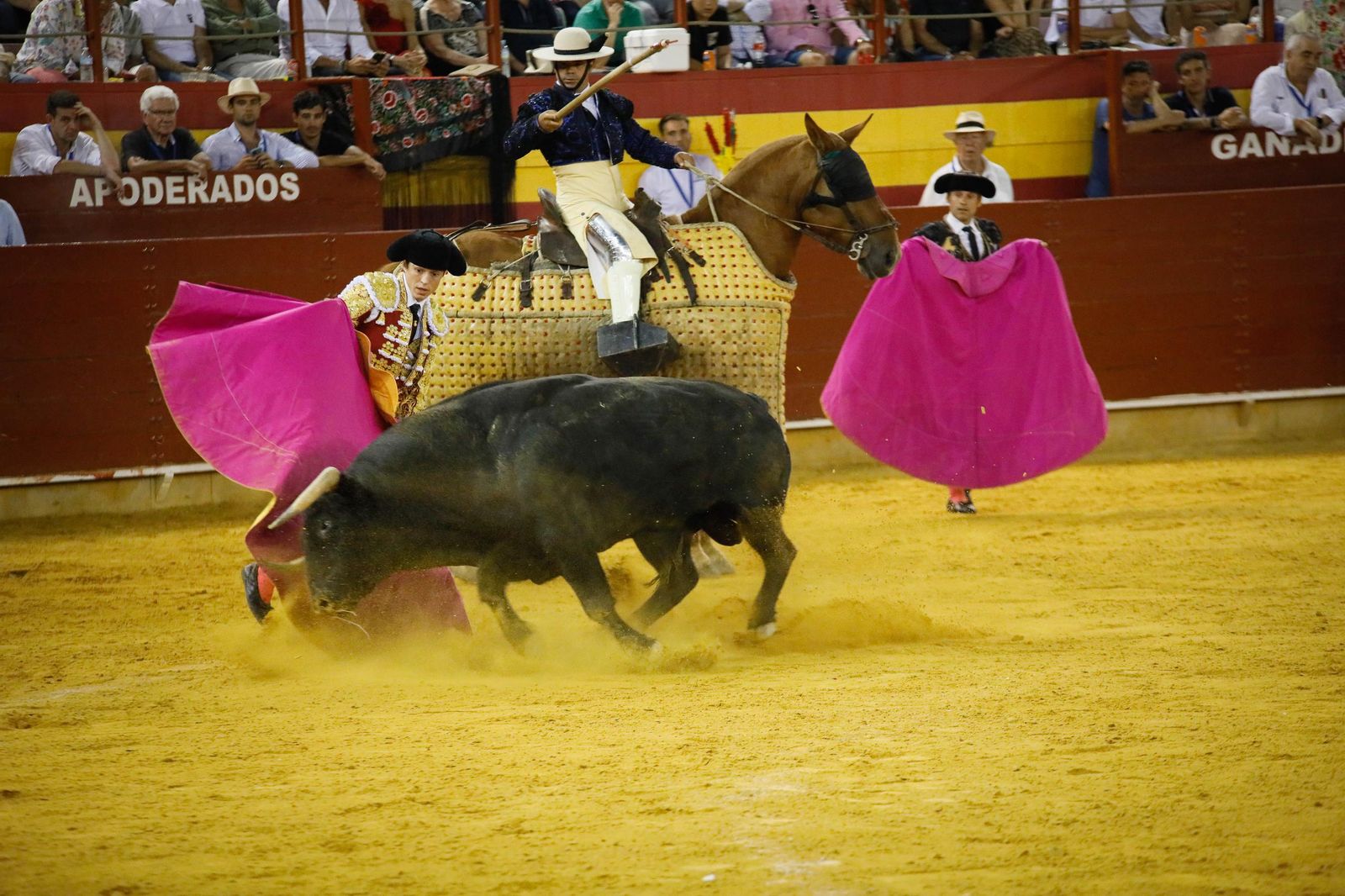 Corrida de toros en Roquetas, en imágenes