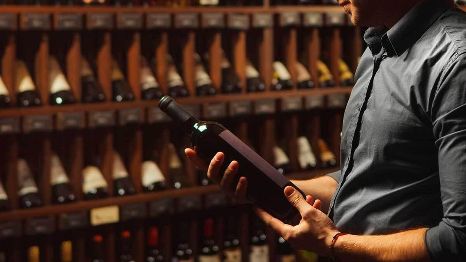 Visitas de bodegas en Torreperogil