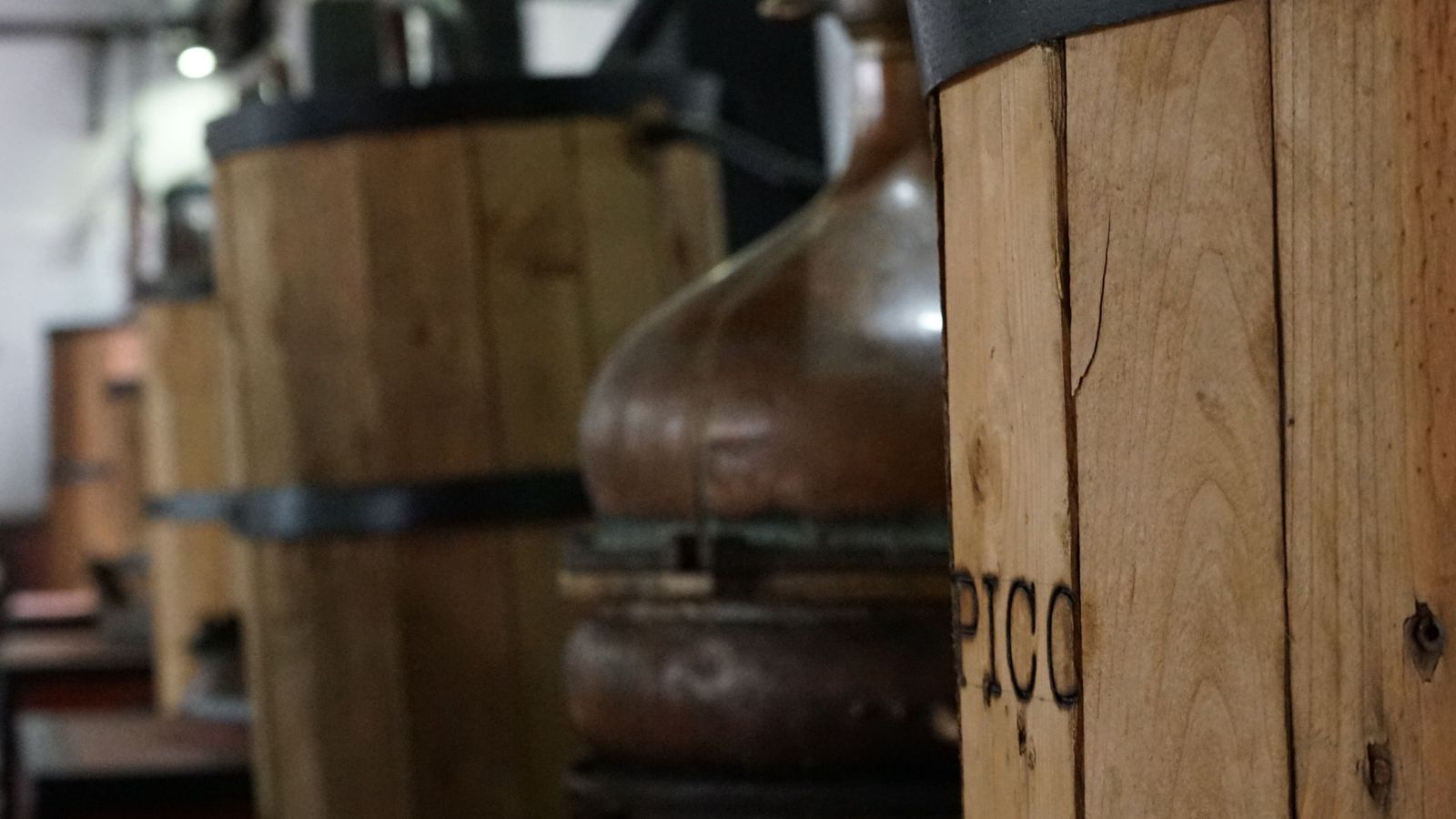 El Puerto de Santa María vio nacer a Pico.