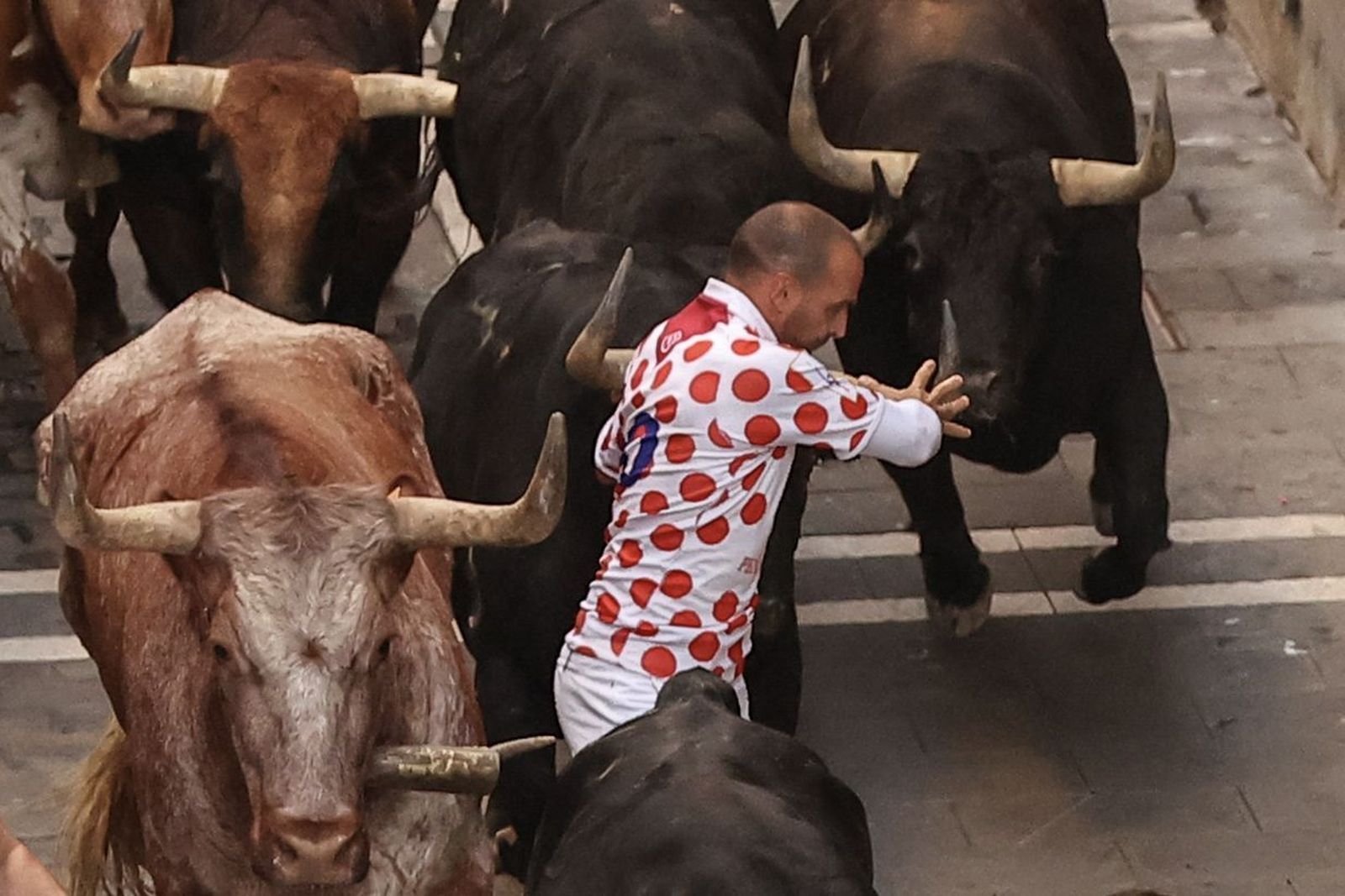 Las imágenes de los toros de Jandilla en los sanfermines