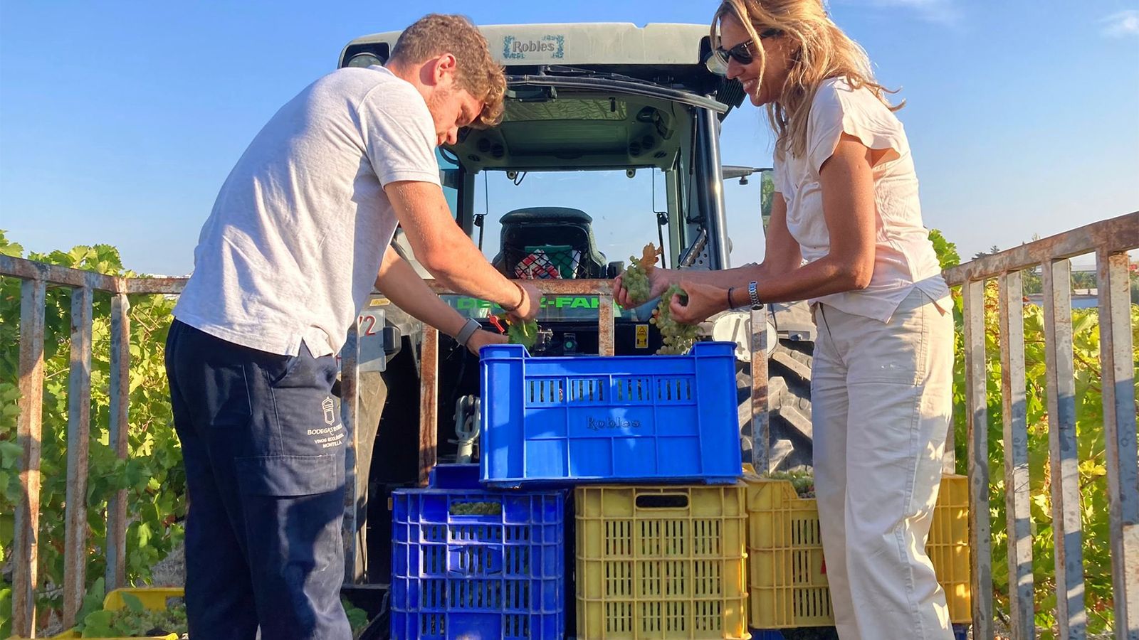 Robles Brut Nature se comercializa con tres periodos de envejecimiento distinto: 18, 24 y 36 meses de crianza en botella