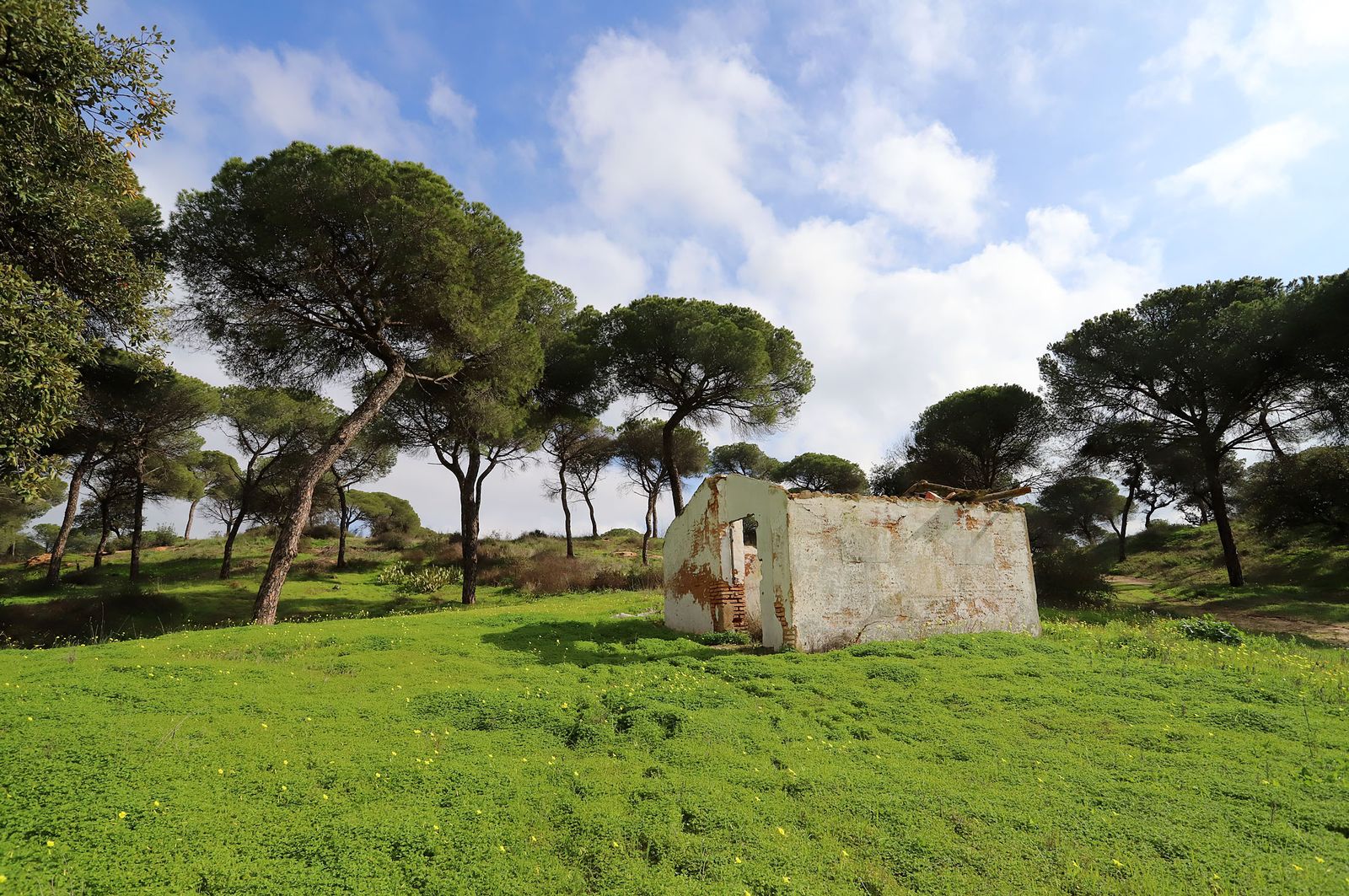Imágenes de Fuentepiña, casa de Juan Ramón Jiménez en Moguer