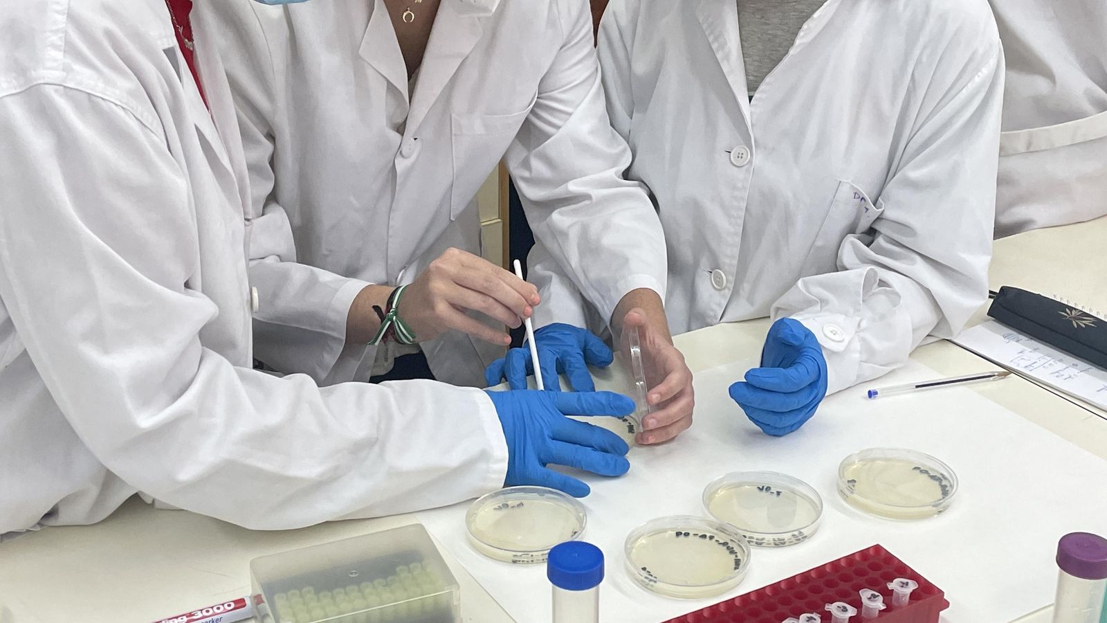 Muestras en el laboratorio.