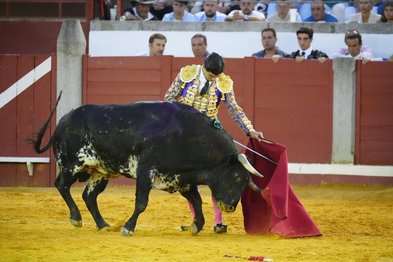 Las mejores imágenes de las corridas de toros de la Feria de Pozoblanco