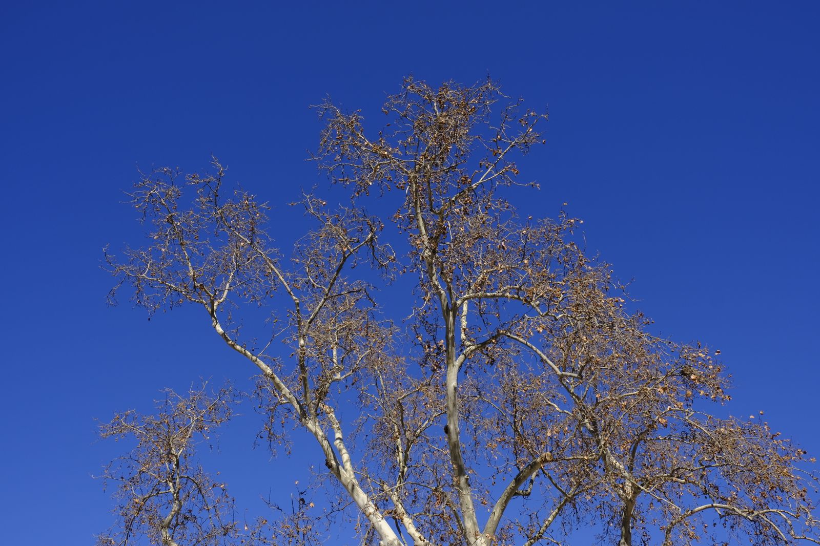 Fotogalería Vía Verde Lucainena de las Torres-Agua Amarga