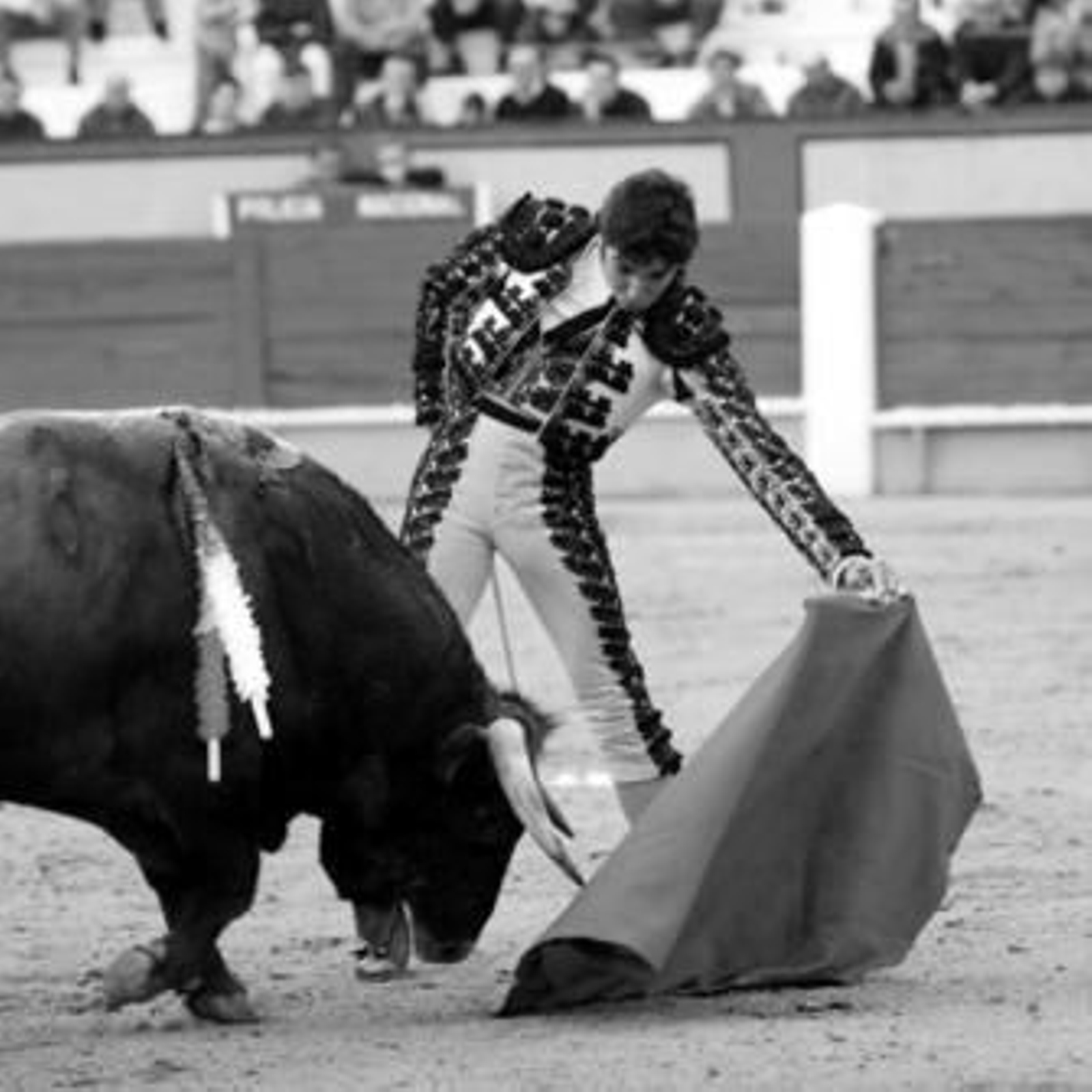 Cayetano Rivera torenado al natural al que le cortó las dos orejas.