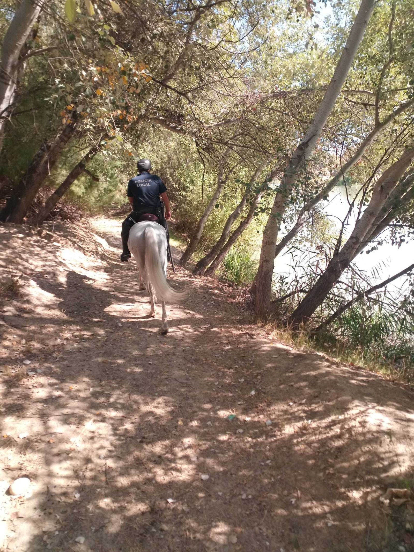 Agente de la Policía Local de Córdoba de la unidad de caballería.