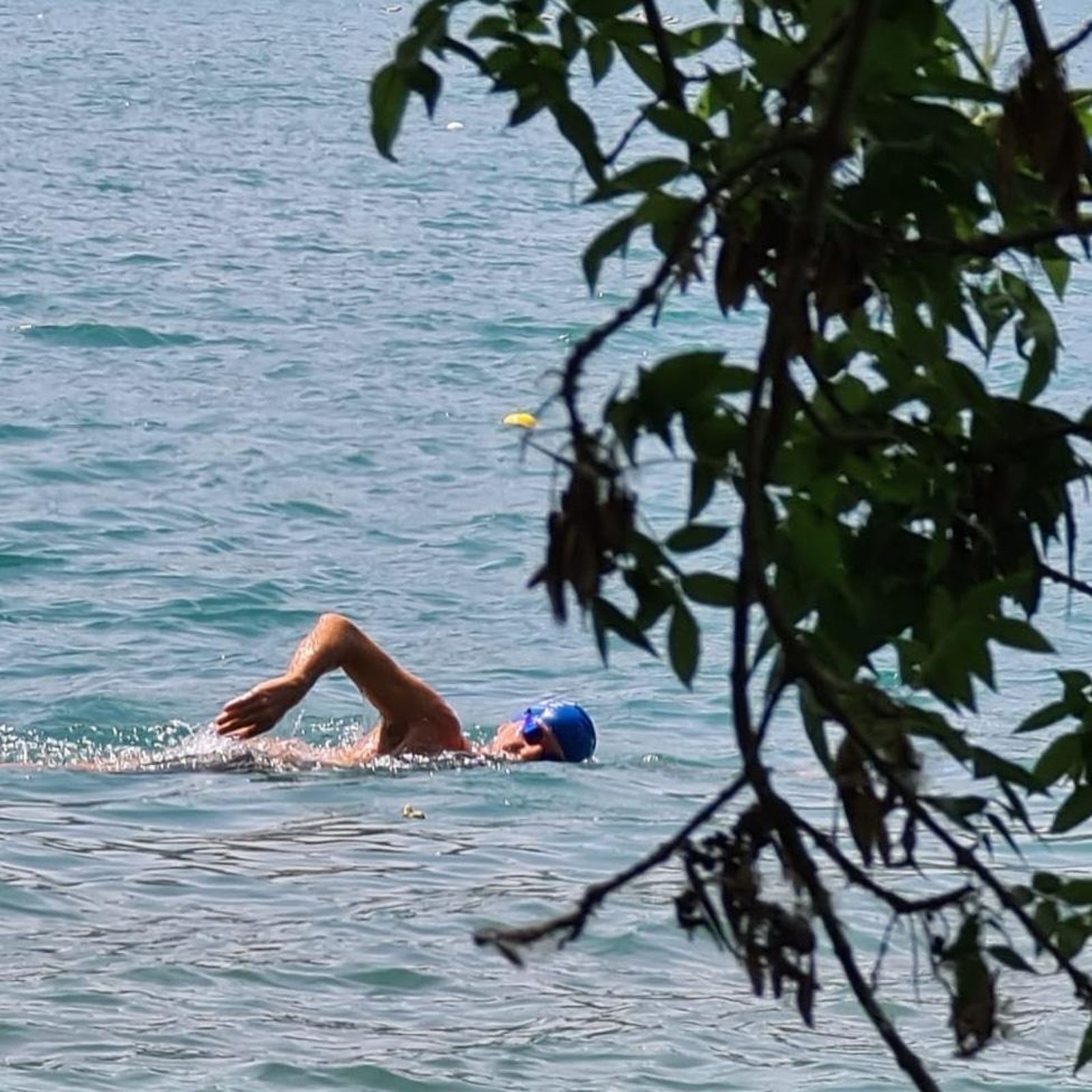 Los nadadores del Jerez Máster lo dieron todo en Banyoles.