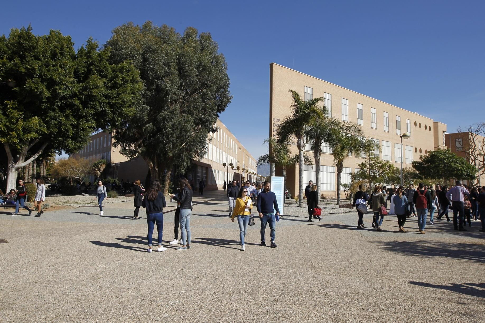 La Universidad de Almería muestra su fortaleza en los indicadores analizados por el ranking elaborado por la Fundación BBVA y el Instituto Valenciano de Investigaciones Economicas.