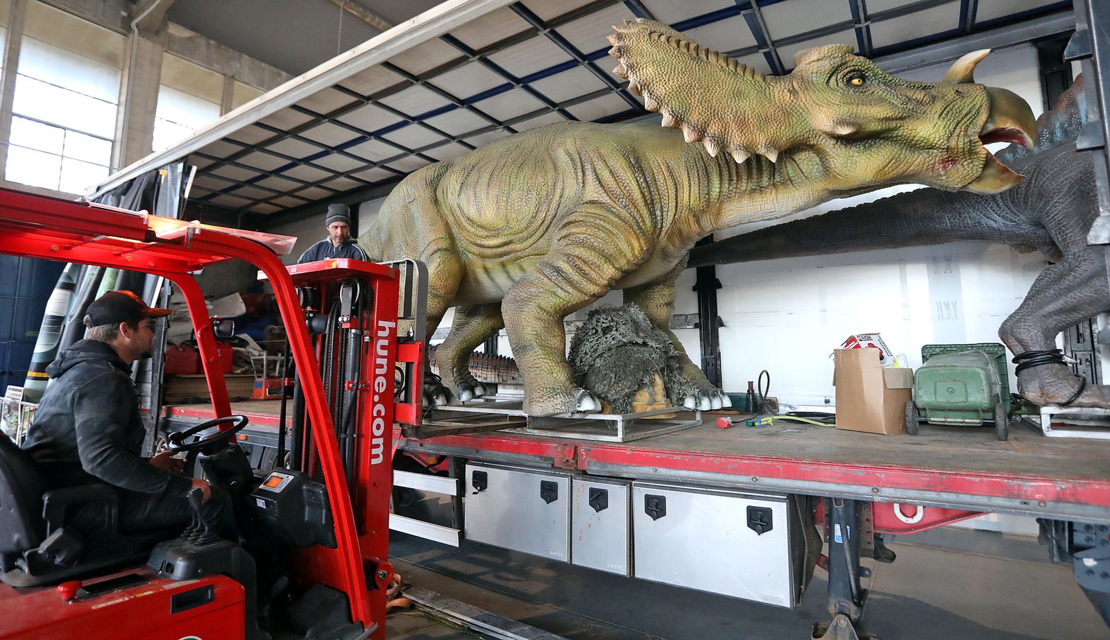 Imágenes del montaje de la mayor exposición de dinosaurios animatrónicos