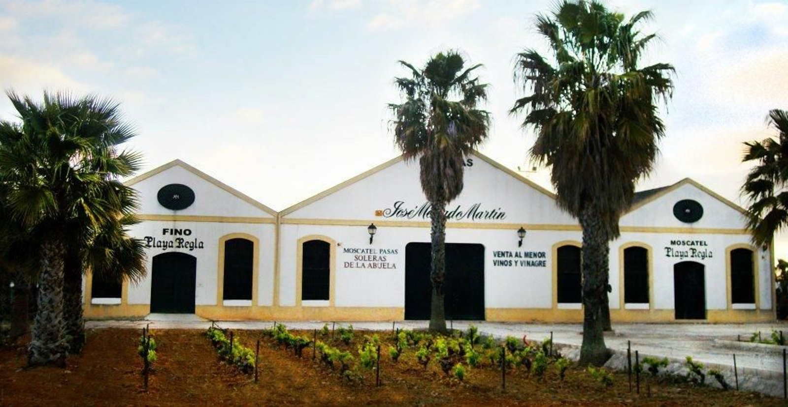 Bodegas José Mellado Martín