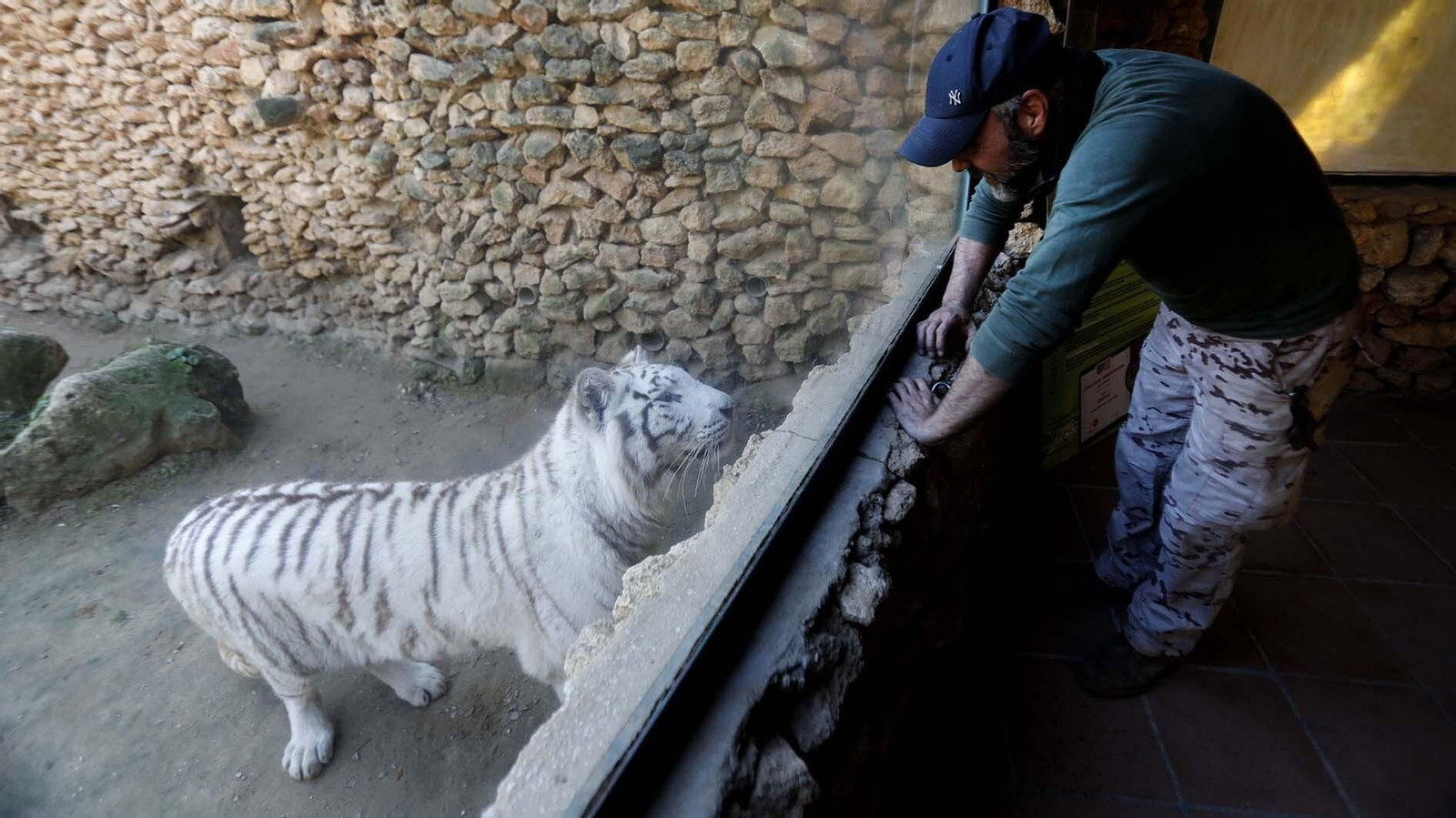 Las fotos del Zoo de Castellar de la Frontera