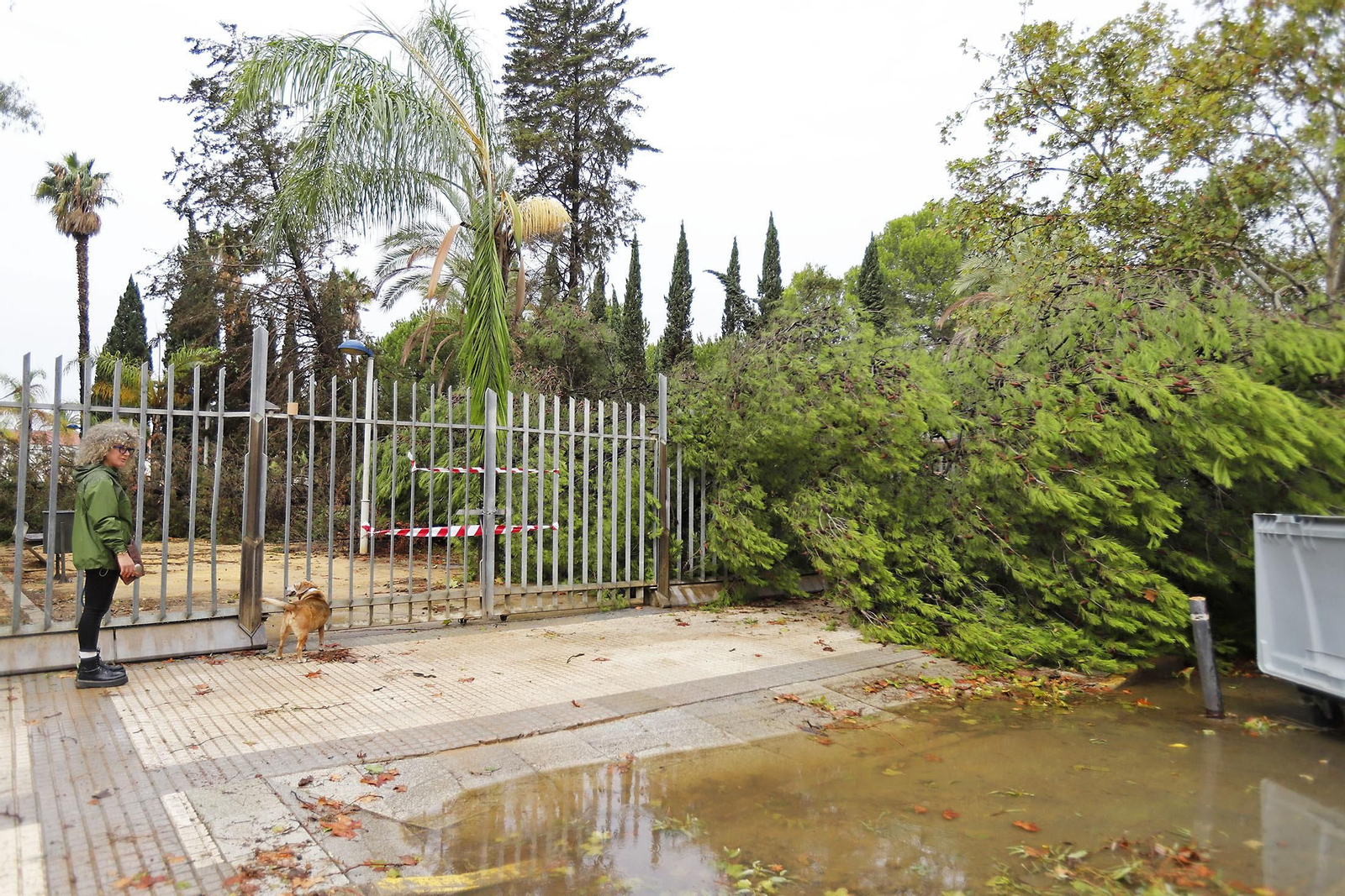 Imágenes de los destrozos en Huelva provocados por el temporal de viento y lluvia