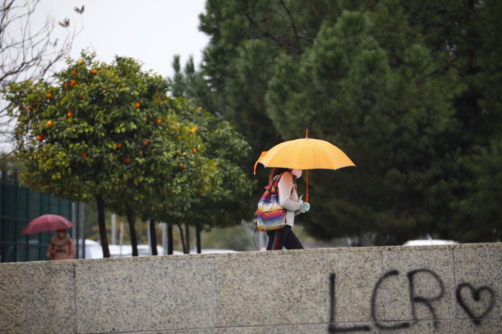 Las fotografías del paso de la borrasca Filomena por Córdoba