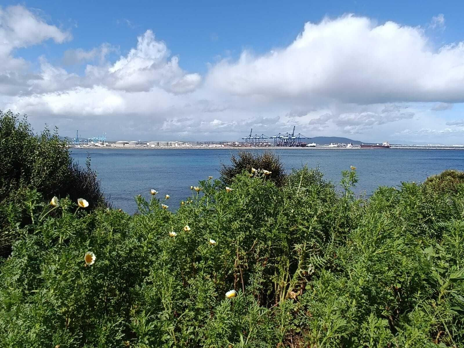 El Parque del Centenario rebosa de colores en primavera