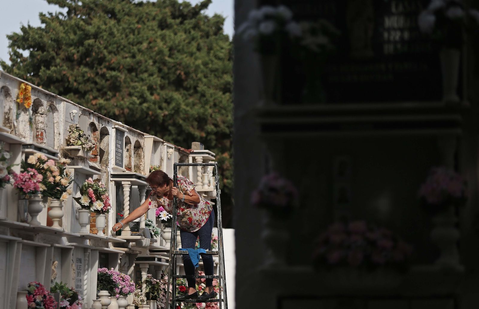 Fotos de los preparativos para los Tosantos en el cementerio de Algeciras