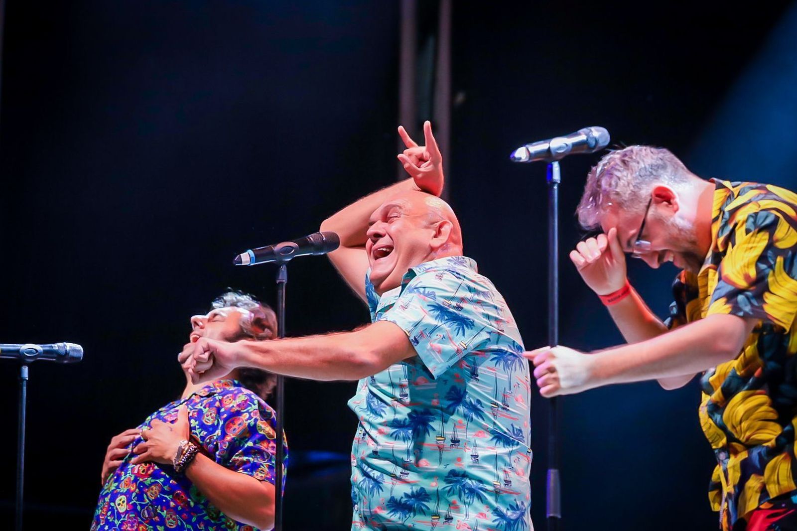 Actuación del Comandante Lara y Cía en San Fernando.