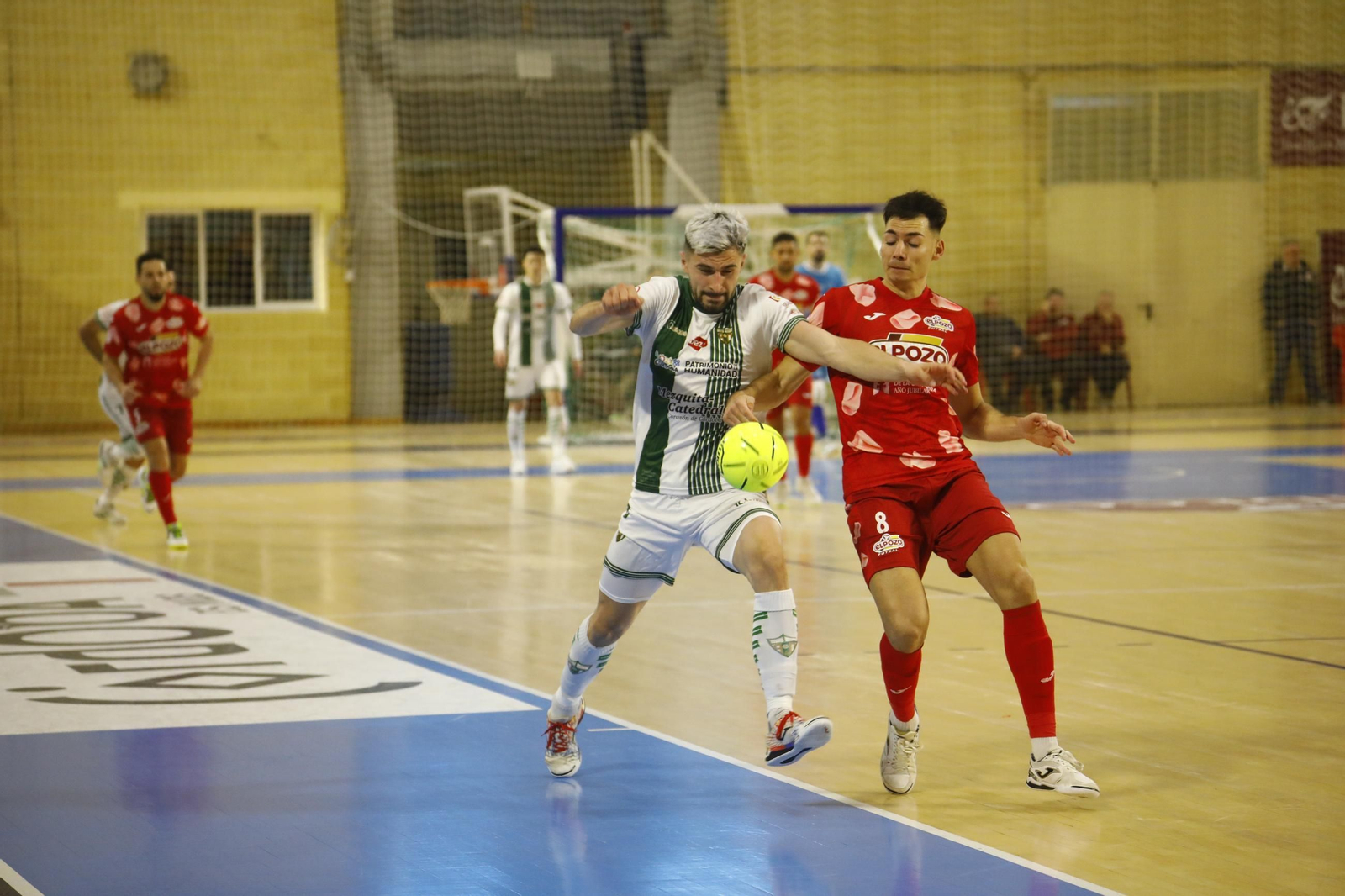 Las mejores fotos de la victoria del Córdoba Futsal ante ElPozo Murcia