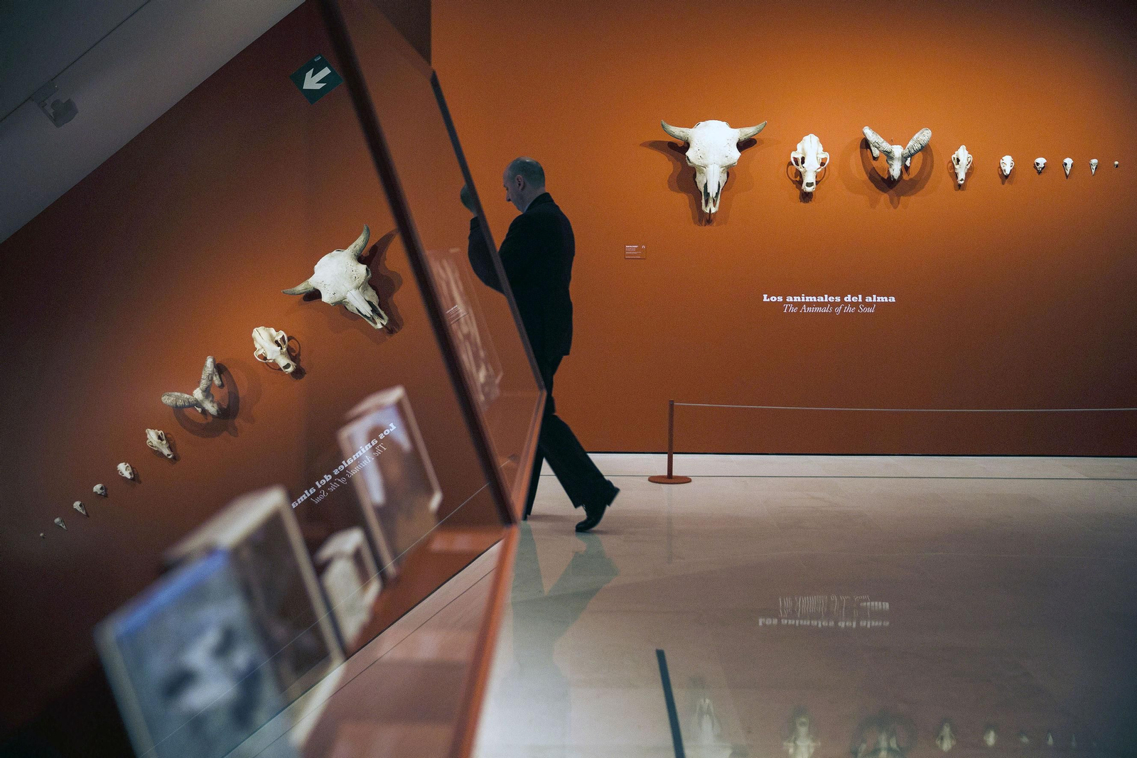 Una vista de la exposición temporal 'La ilusión del Lejano Oeste', en el Museo Thyssen.