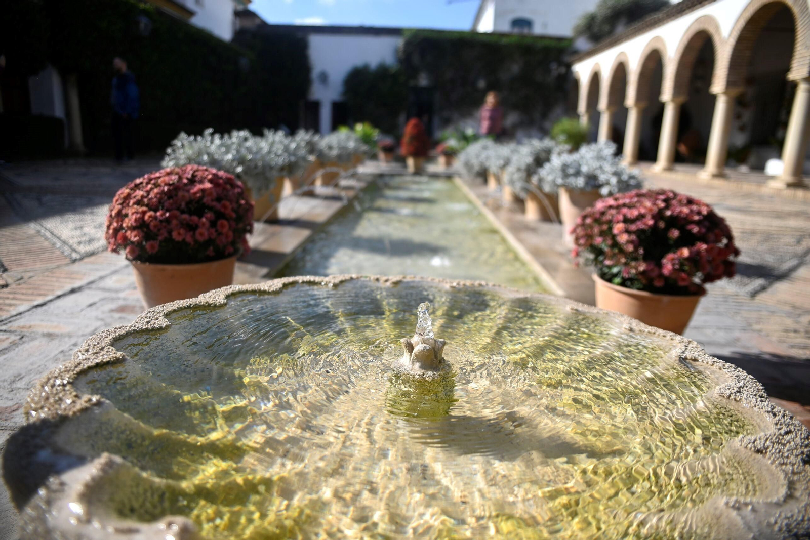 Un recorrido fotográfico por el Palacio de Viana de Córdoba en otoño