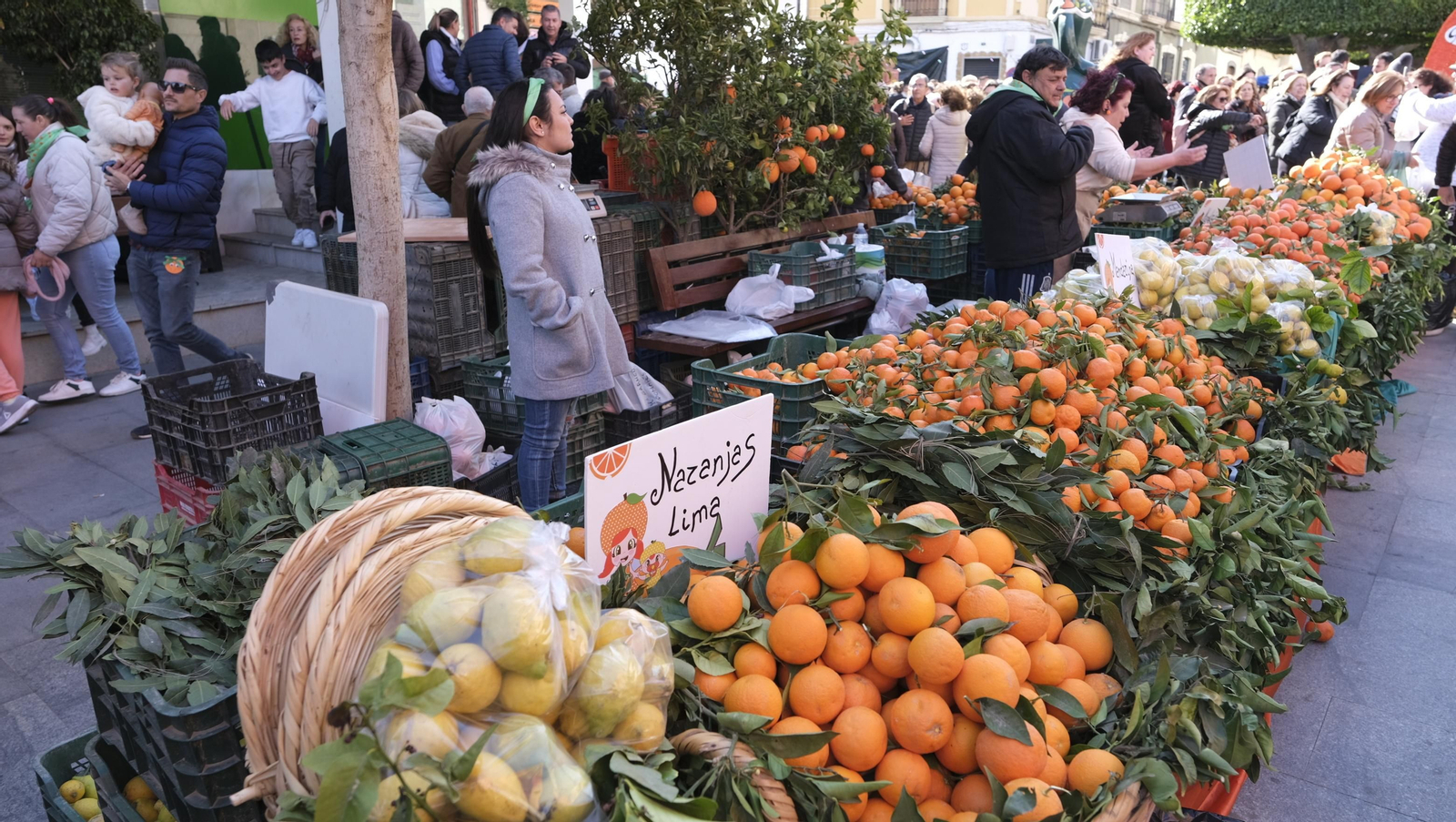 Imágenes del Día de la Naranja, en Gádor