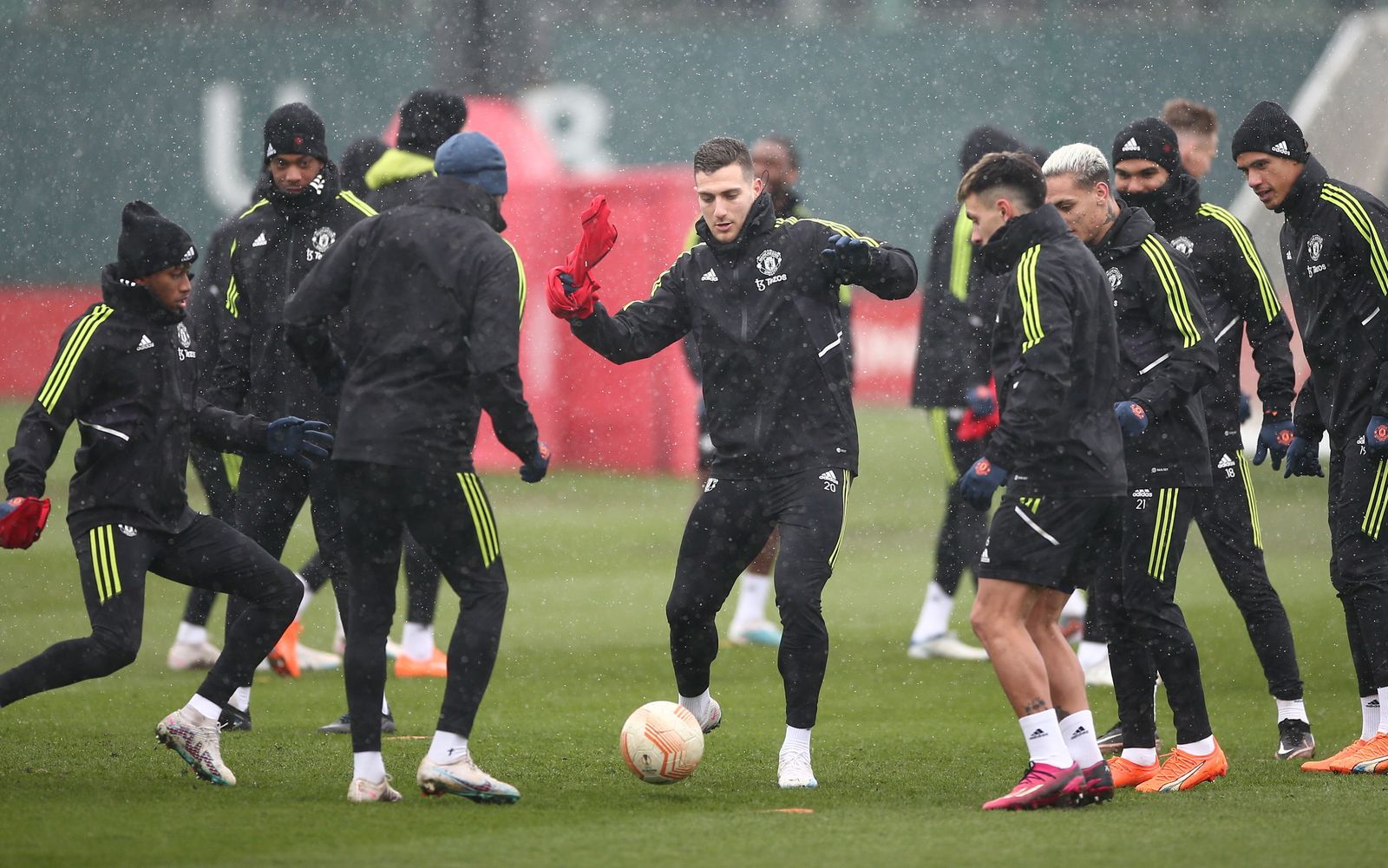 Las fotos previas del Manchester United - Betis