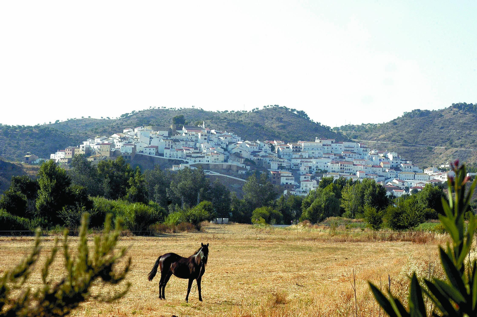 Panorámica de Torre Alháquime.