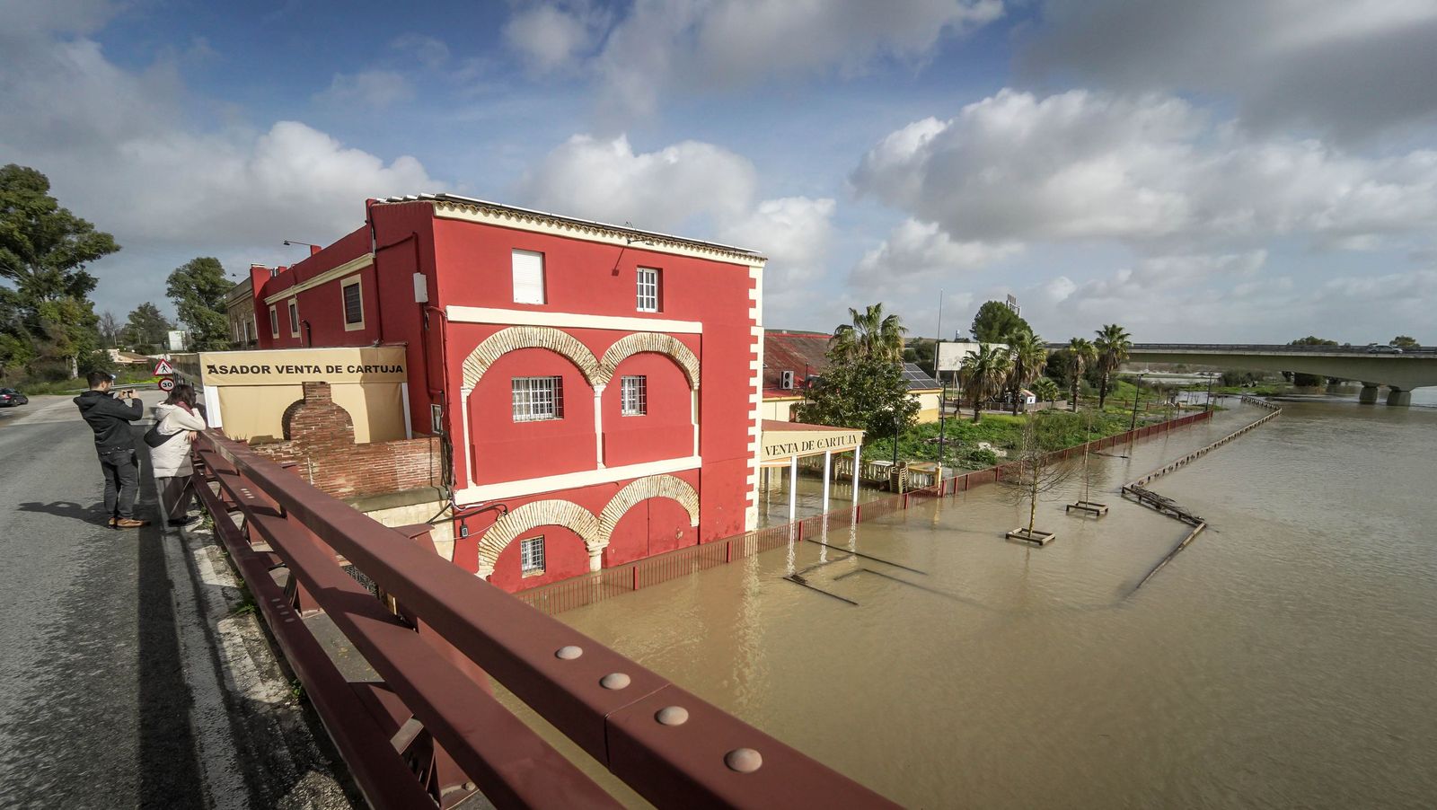 Un día tranquilo en el rio Guadalete, en imágenes