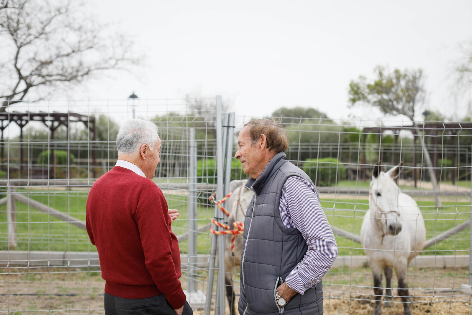 Galería de la Feria  de ganado en Tarambana