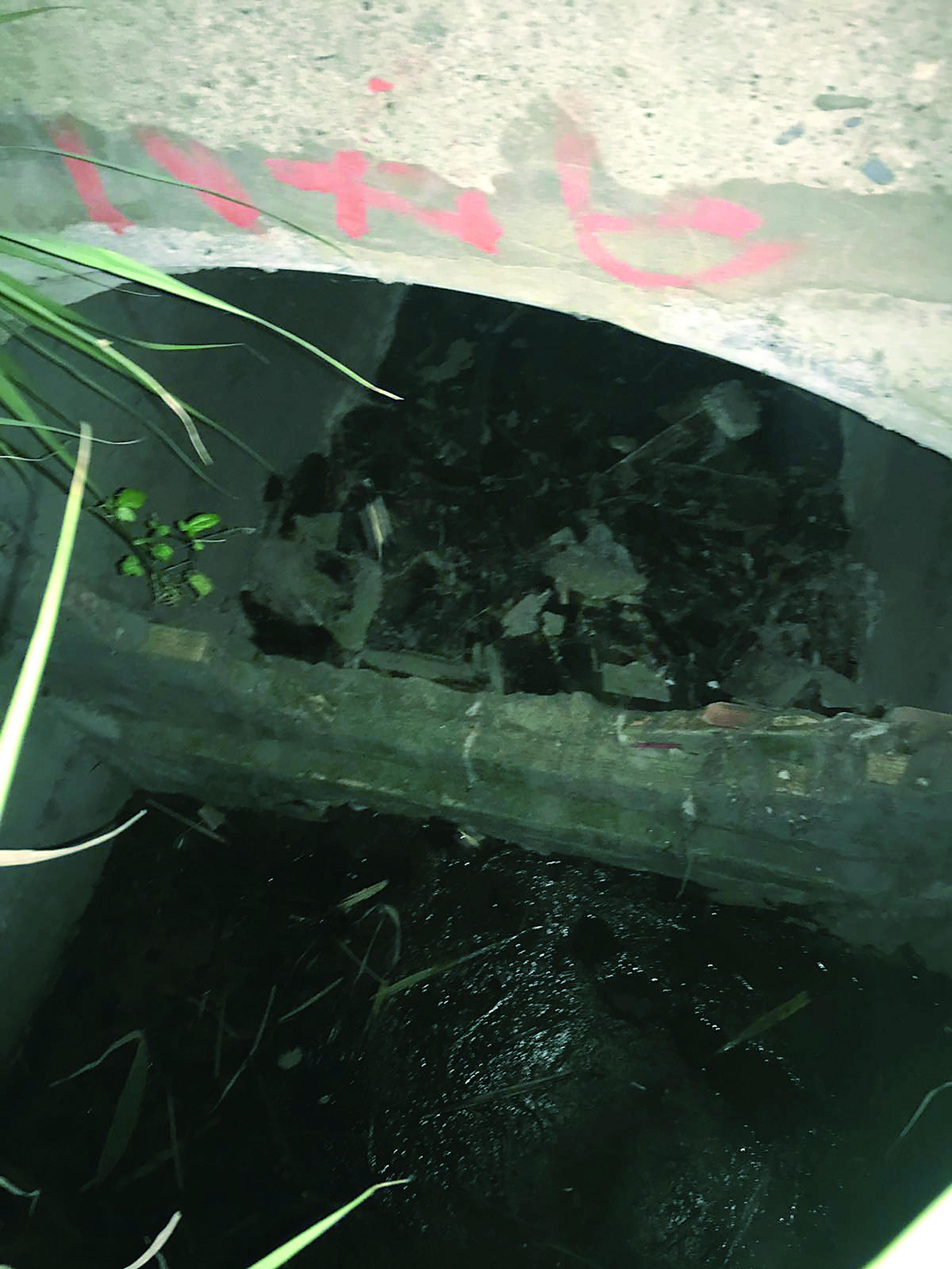 Agua estancada en el antiguo canal de Las Flores, de donde proceden los malos olores. Agua estancada en el antiguo canal de Las Flores, de donde proceden los malos olores.