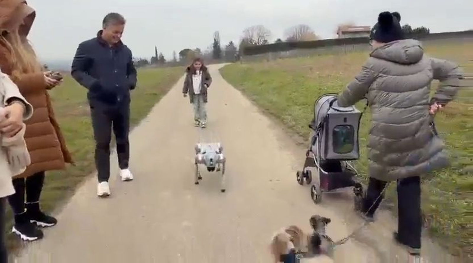 La mascota del futuro: el empresario Carlos Creus Moreira, natural de La Línea, muestra su perro robótico