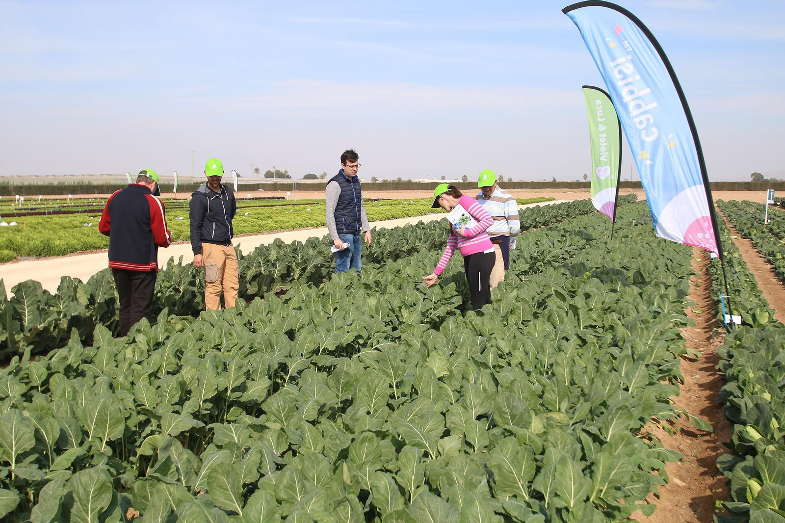 Fotogalería de las jornadas de puertas abiertas de Rijk Zwaan en Cartagena