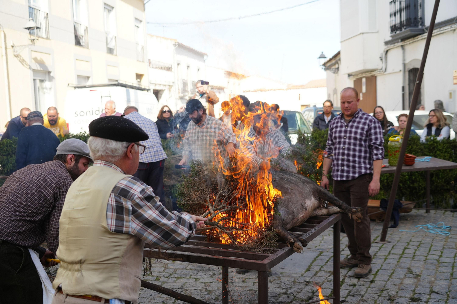 Alcaracejos celebra su Fiesta de la Matanza, en imágenes