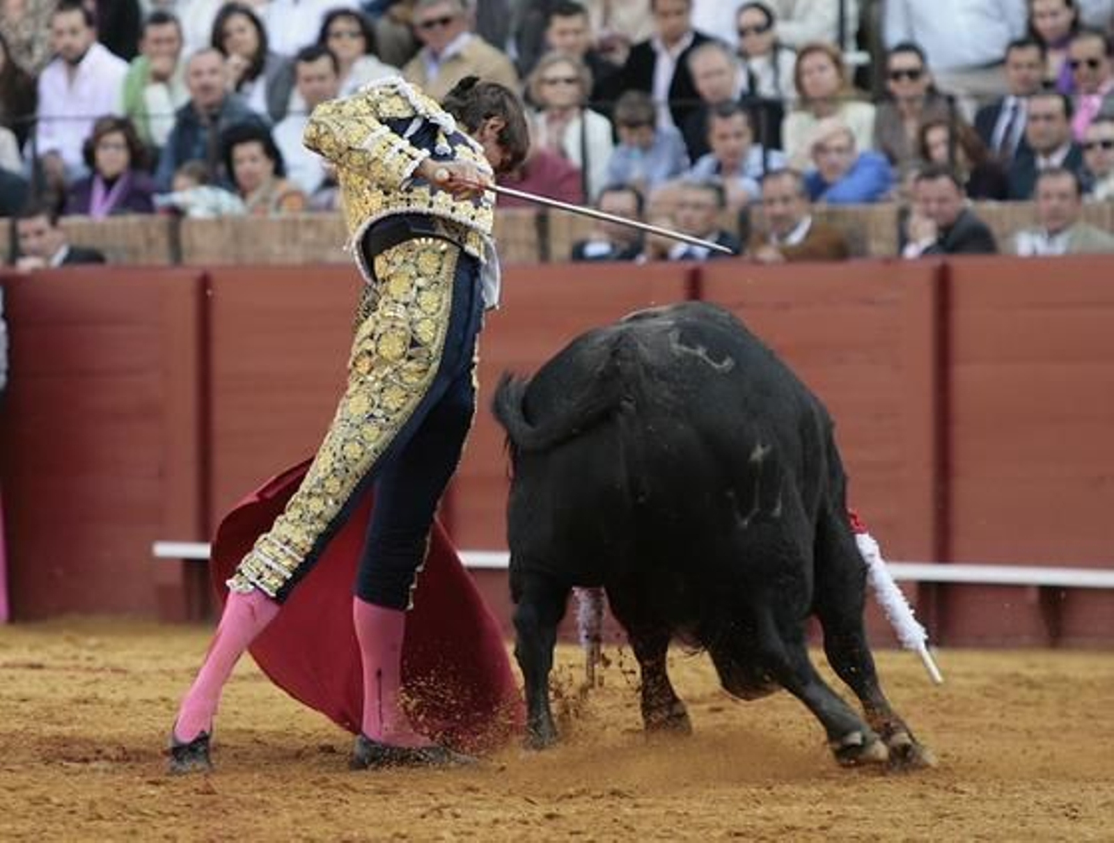 Delgado, tras realizar un movimiento de capote. 

Foto: Juan Carlos Muñoz