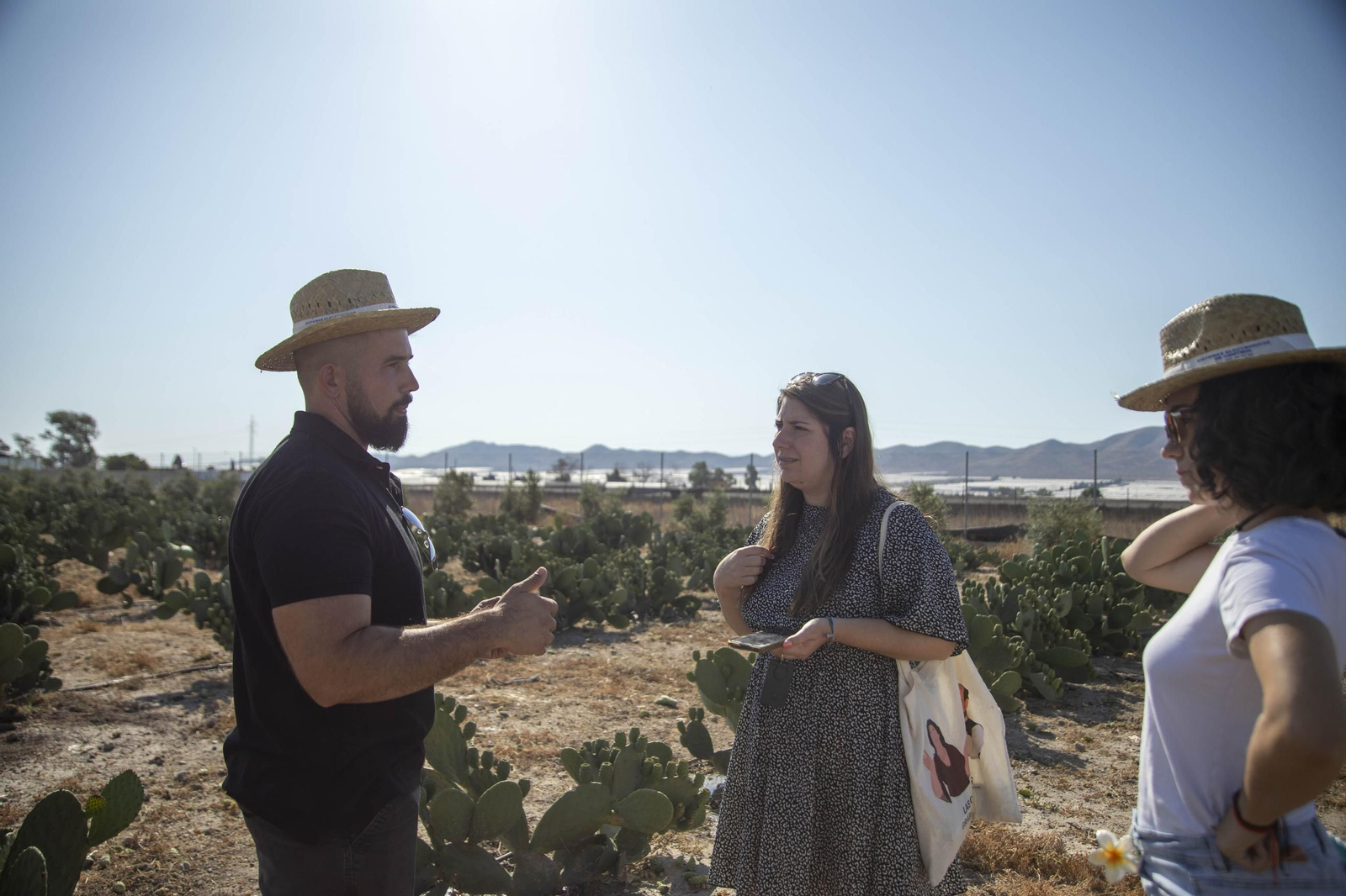 Plantación de chumbos de Níjar