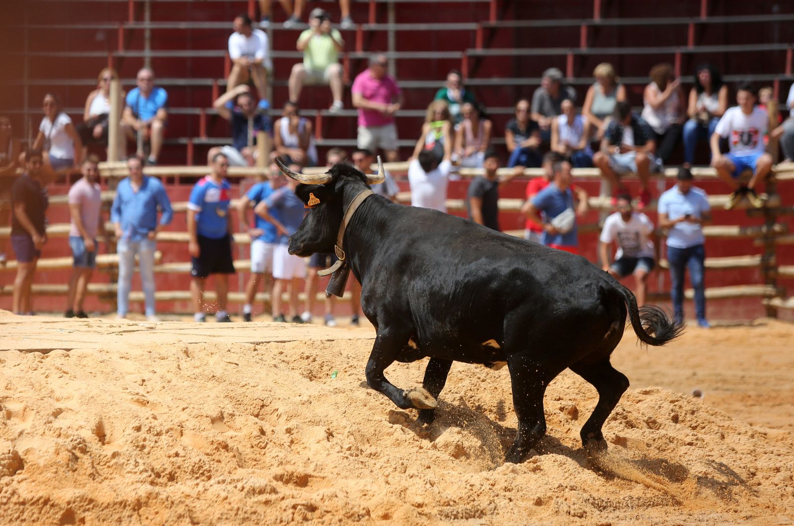 Capeas de Trigueros en imágenes