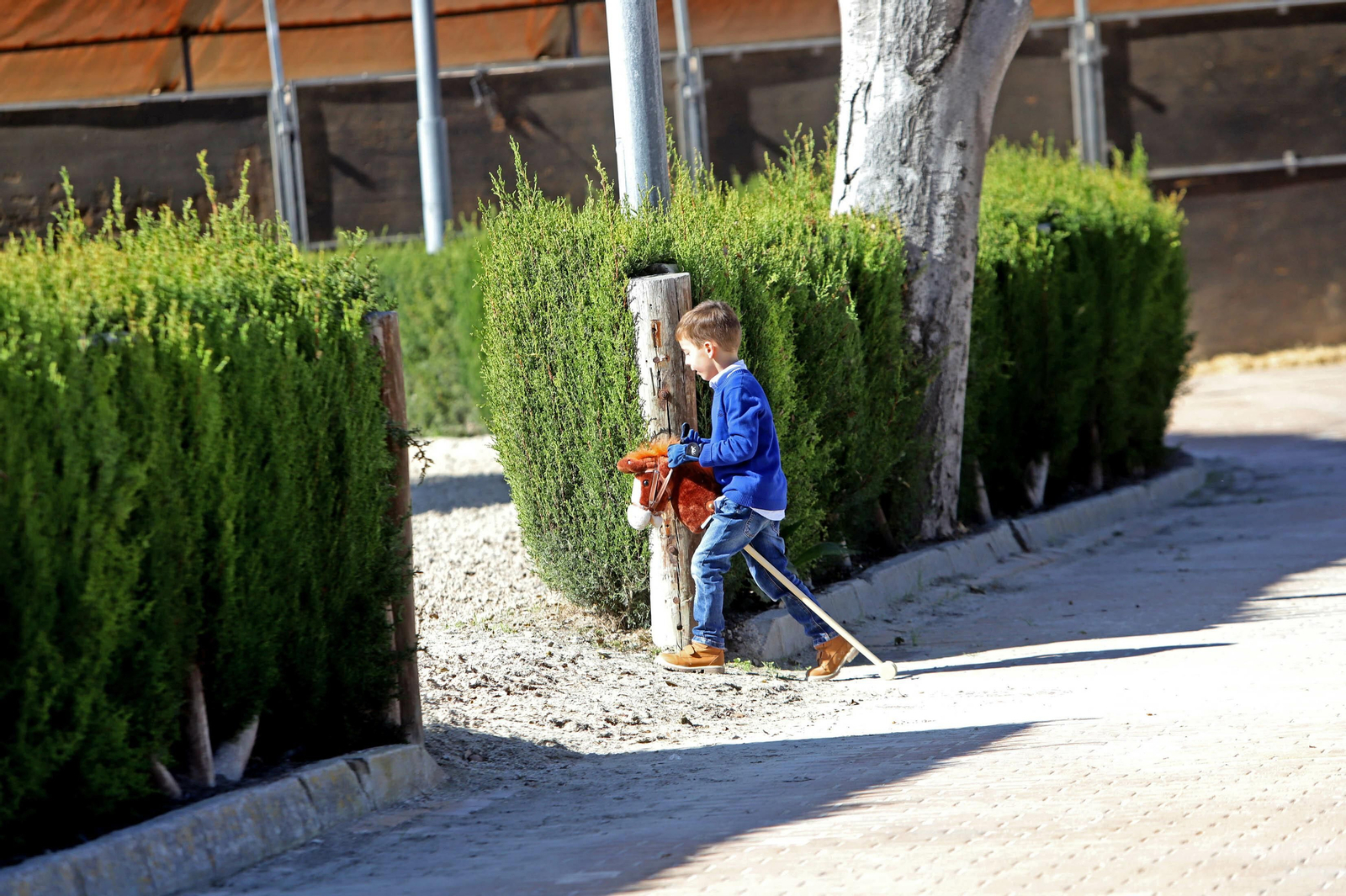 XVII Campeonato de Andalucía de Doma de Alta Escuela