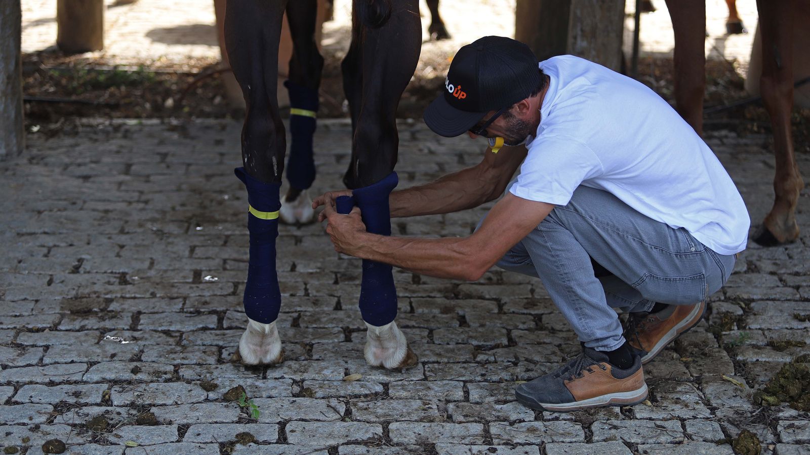 El polo desde dentro