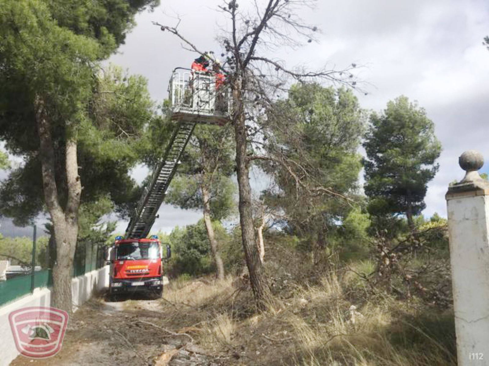 Los bomberos de Baza, en plena labor de prevención.