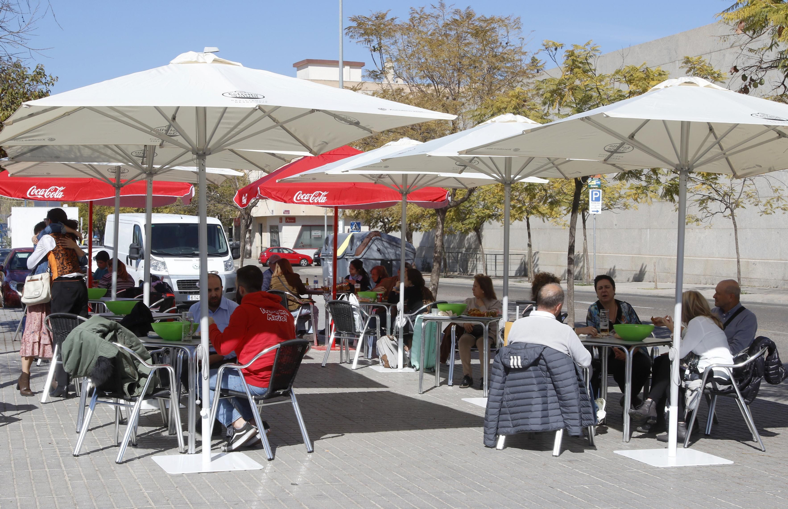 El comienzo de la temporada de caracoles 2022, en imágenes