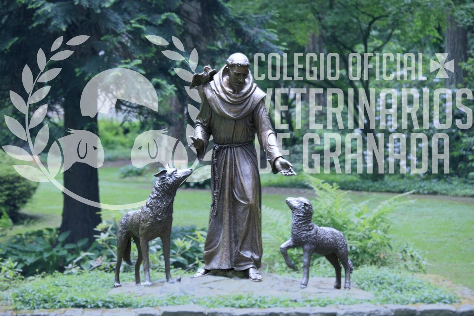 San Francisco, patrón de los veterinarios.