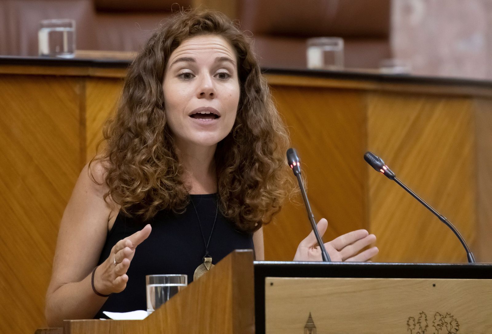 La parlamentaria andaluza por Granada de Adelante Andalucía, Ana Villaverde.