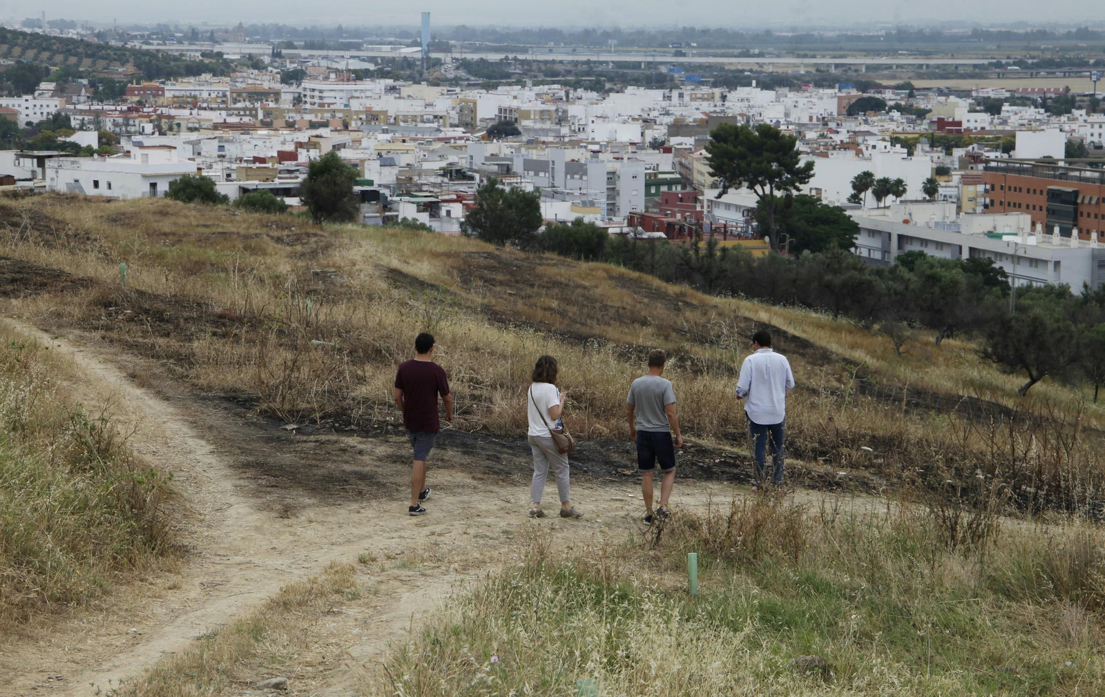 Las llamas destruyen ciento de árboles sembrados en el Carambolo