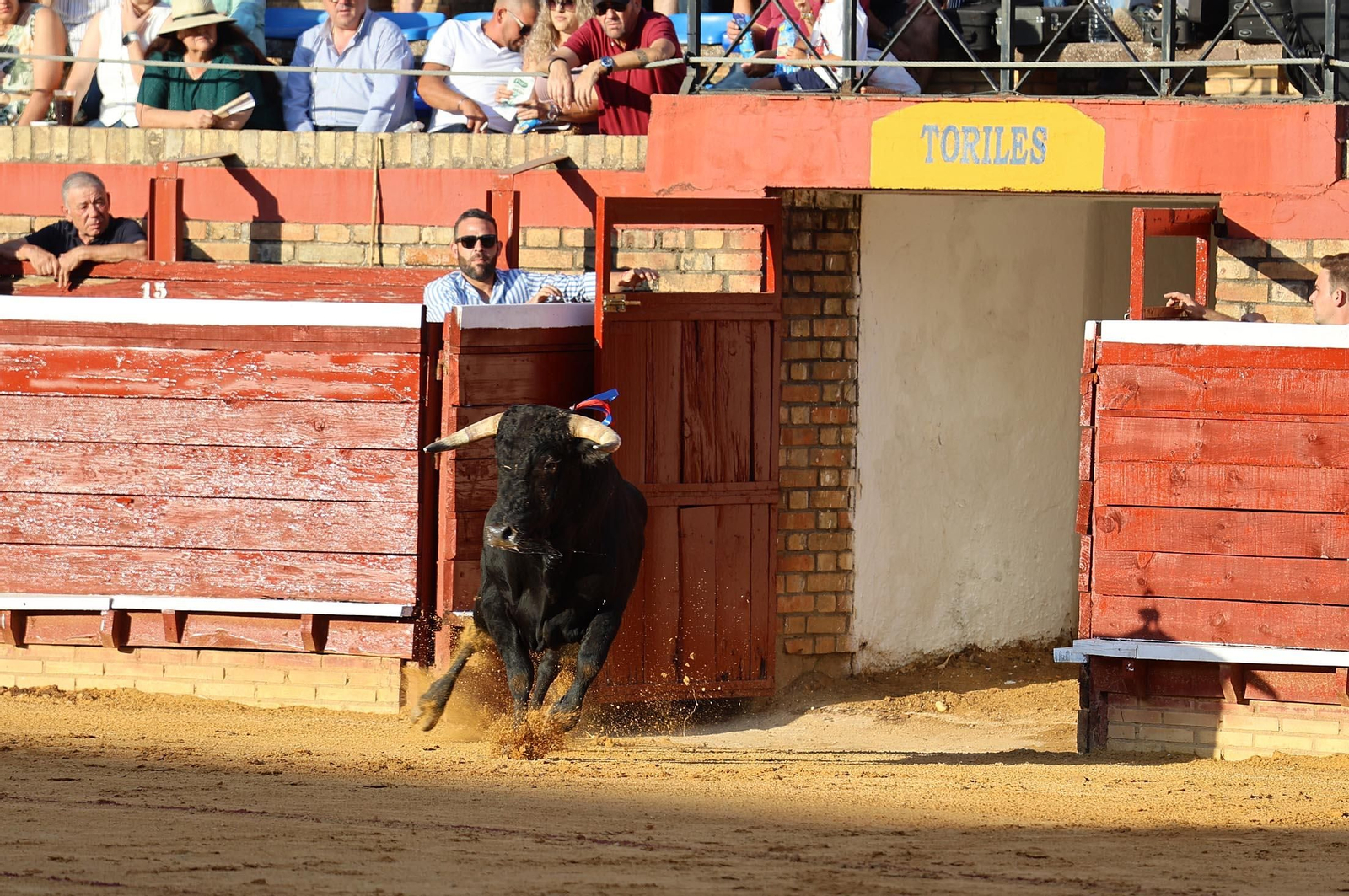 Toros La Merced 2025: Imágenes de la Novillada de Javier Zulueta, Cristian González y Carlos Tirado