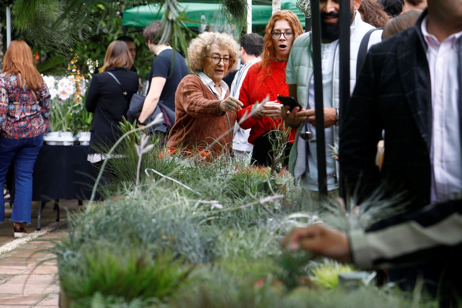 Así es la III Feria de las Orquídeas de Córdoba, en fotografías