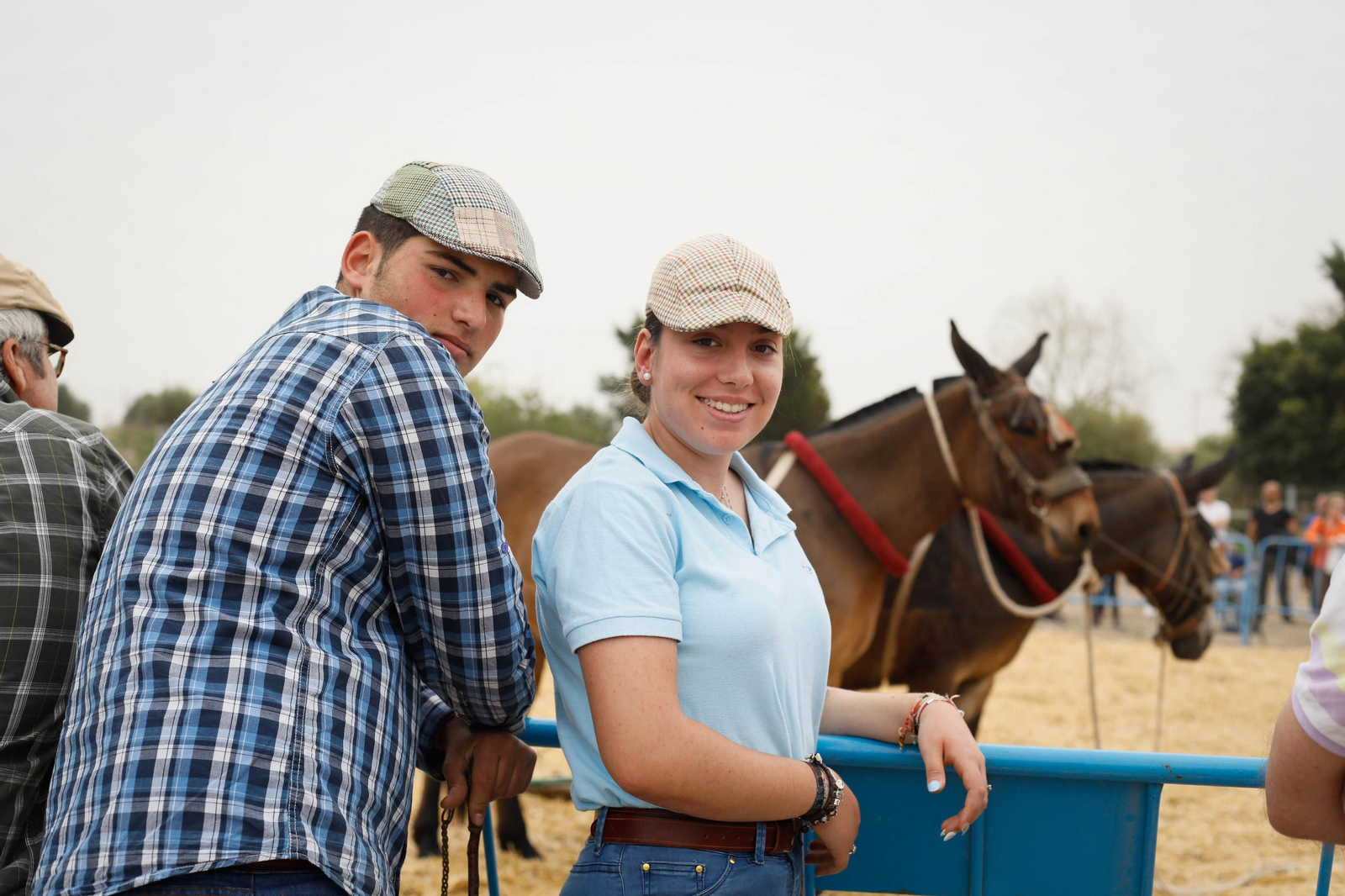 Galería de la Feria  de ganado en Tarambana