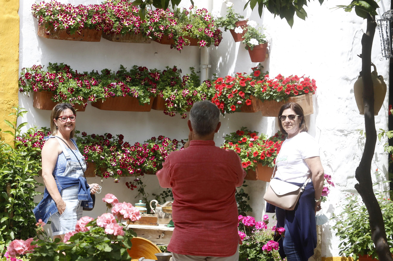 Ruta Regina - Realejo de los Patios de Córdoba, en imágenes
