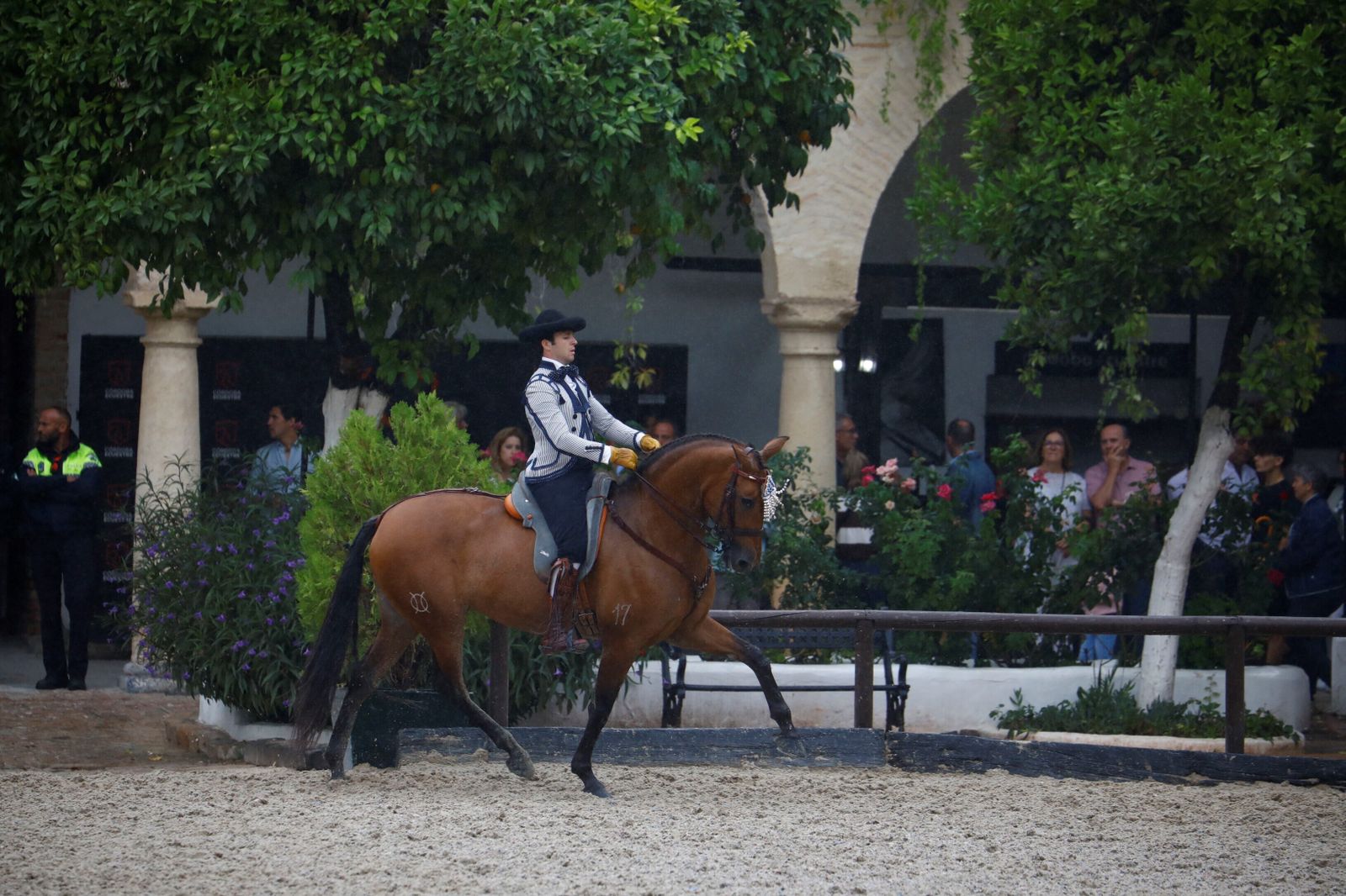 La celebración de la VI Copa de España de Alta Escuela en Córdoba, en imágenes