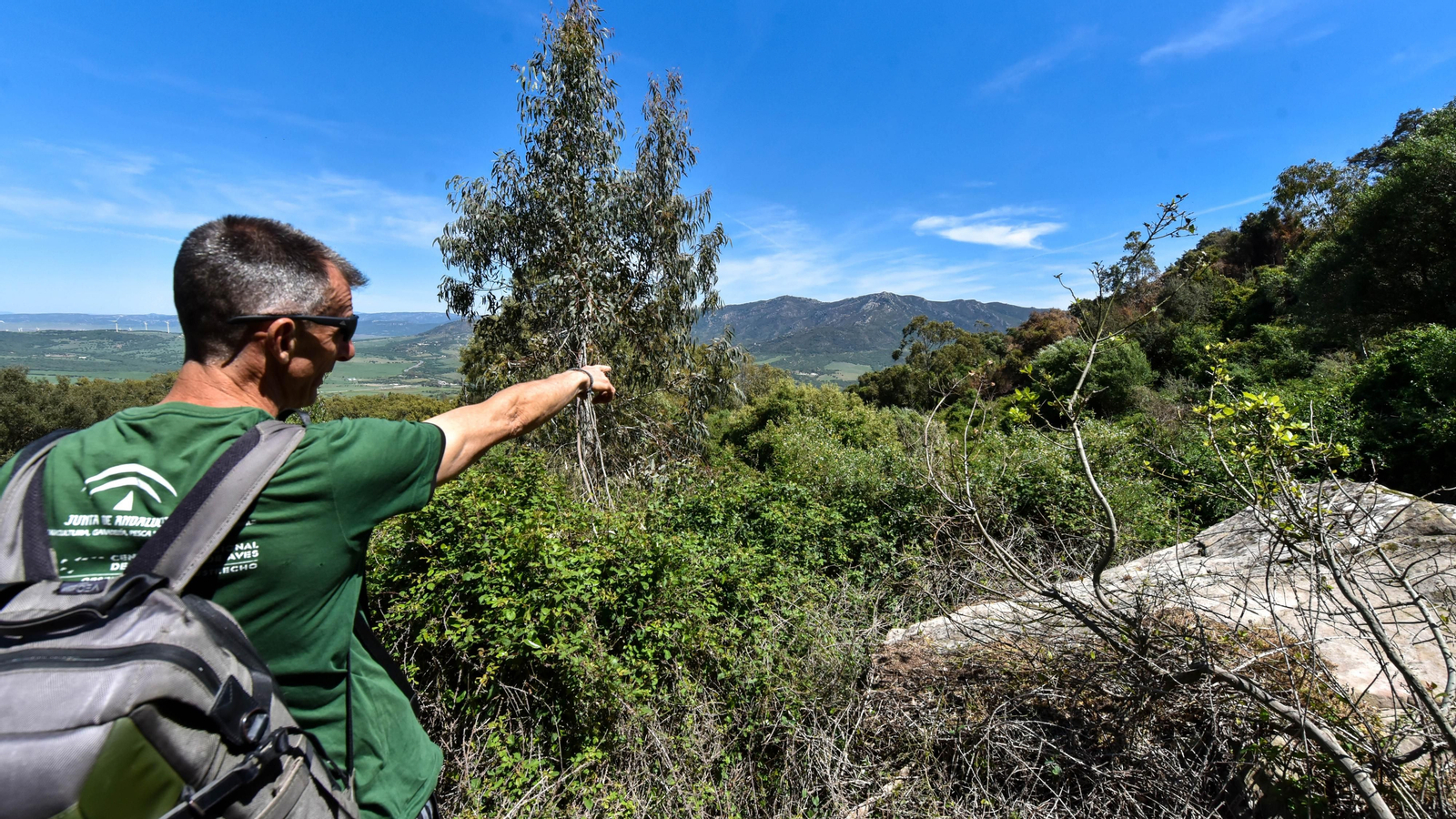 Fotos de la zona de Betijuelos incendiada
